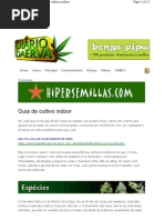 Guia de cultivo indoor