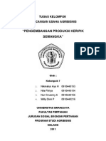 Download RUA Pengembangan Produksi Keripik Semangka MAKALAH FIX by neela_barbara SN50824986 doc pdf