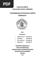 Download RUA Pengembangan Produksi Keripik Semangka MAKALAH FIX by neela_barbara SN50824986 doc pdf