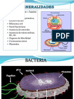 Morfologi a de Las Bacterias