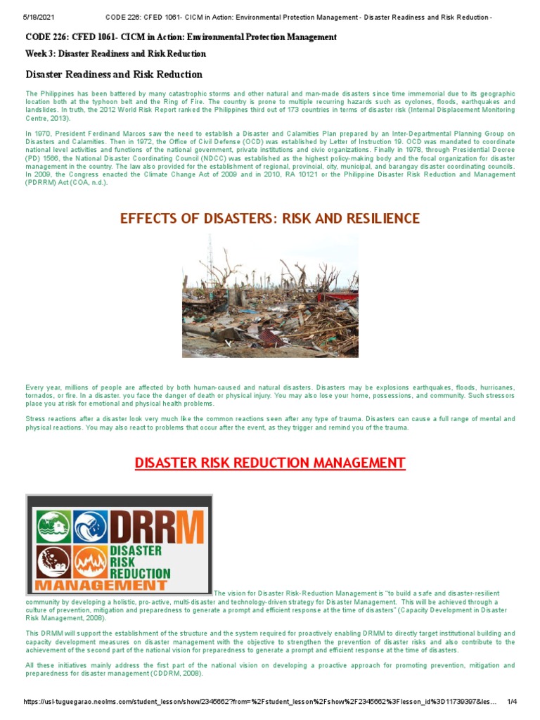 Disaster Risk Reduction in the Philippines | PDF | Disaster Risk ...