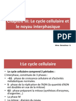 Le Cycle Cellulaire Et Le Noyau B5