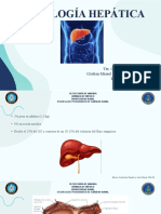 Fisiologia Hepatica