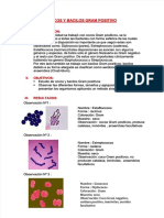 PDF Gram Positivo - Compress