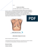 Trabajo Final de Imagenologia de La Mama