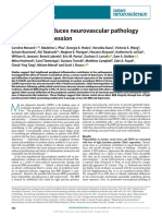 social stress induces neurovascular pathology promoting depression