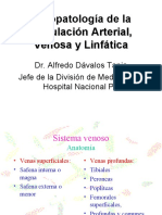 Fisiopatología de la Circulación Arterial, Venosa y Linfática