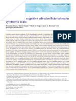 Schmahmann Syndrome Scale