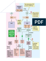 Gondal Flowchart Embryo