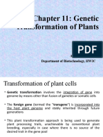 Chapter 11 Genetic Transformation of Plants