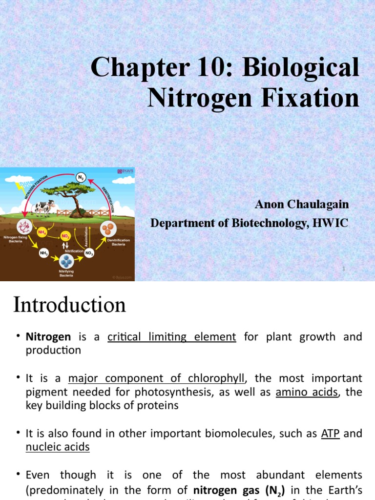 Biological Nitrogen Fixation Explained | PDF | Organisms | Metabolism