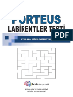 Porteus Labi̇rent Testi̇