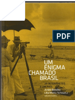 BOTELHO, A., SCHWARCZ, L. M. Um Enigma Chamado Brasil - 29 Intérpretes e Um País (LIV)