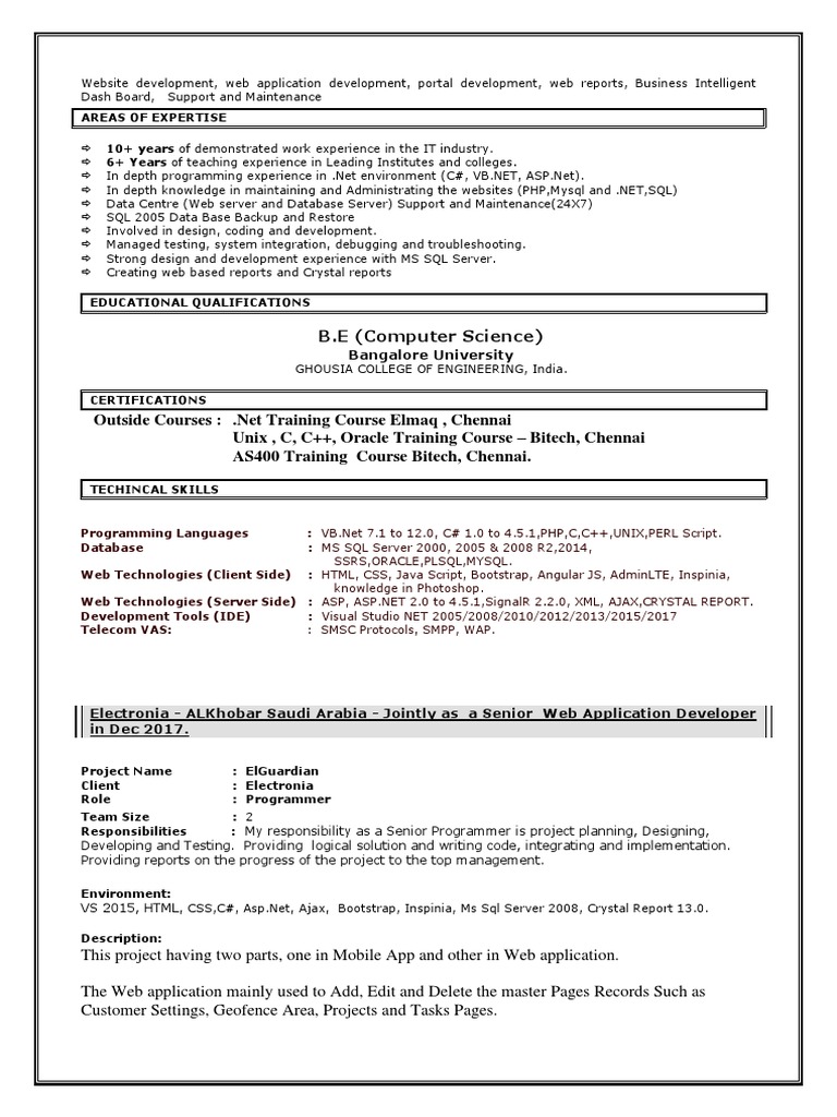 Web Development & Application Expertise | PDF | Web Application | World ...