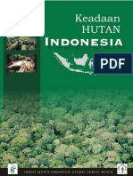 Keadaan Hutan Indonesia