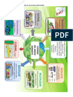 Actívidades para El Proceso de Revisión