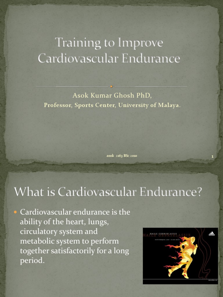 Aerobic Exercise Guidelines and Phases | PDF | Heart Rate | Aerobic ...