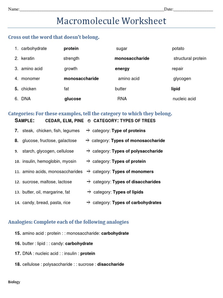 Macromolecules Review Worksheet PDF Macromolecules Carbohydrates