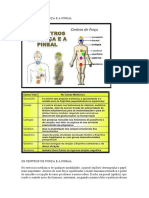 Os Centros de Força e a Pineal
