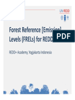 Forest Reference Emission Levels (FRELs) Explained