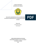 A2 - 182210101016 - Lintang Qonita F - Lap Praktikum - ISOLASI DNA KROMOSOM DAN PLASMID & ELEKTROFORESIS DNA