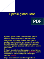 Prezentare Epitelii Glandulare