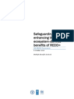 Safeguarding - Enhancing The Ecosystem-Derived Benefits of REDD+