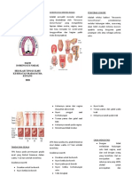 Tugas Dalam Bentuk Leaflet