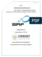 CIA Business Process Modelling SRF