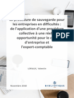 La Procédure de Sauvegarde Pour Les Entreprises en Difficultés de L'application D'une Procédure Collective À Une Réelle Opportunité Pour Le Chef D'entreprise Et L'expert-Comptable