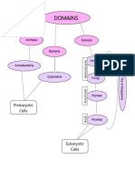 Domains Notes