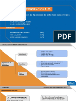 Estructuras No Convencionales