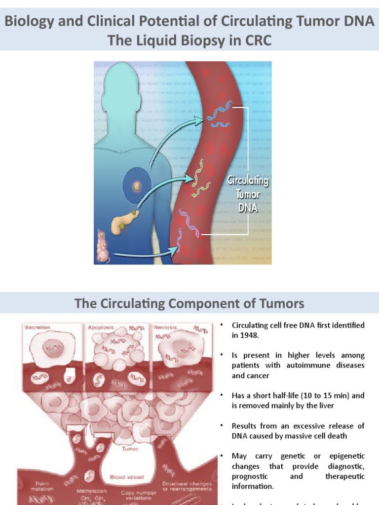 Biology and Clinical Potential of Circulating Tumor DNA The Liquid ...