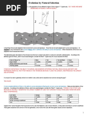 evolution-by-natural-selection-wks-lab-answer-key-zu3kag-pdf-natural-selection-reproduction