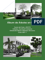 Álbum de Arboles de La Uni