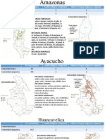 Comunidad Nativa e Indígena de Los Departamentos de Amazonas, Huancavelica, Ayacucho.