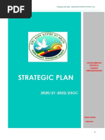 VISION StrategicPlan 2021-2023