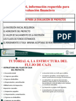 No 6 Tutorial Estructura Del Proceso de FNE