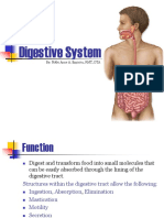 Digestive System 1