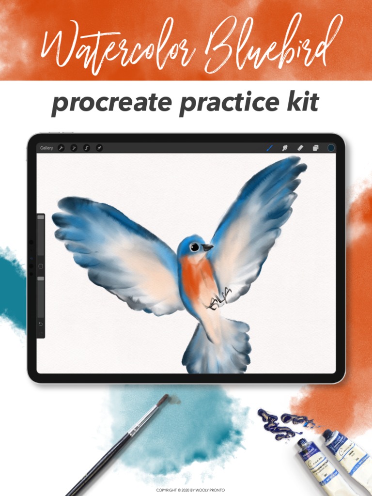 Bluebird Kit Guidebook | PDF | Vision | Color