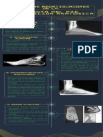 INFOGRAFIA