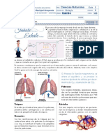 2.1 La Respiración (1)