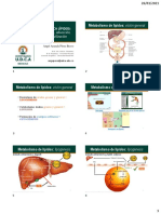 Metabolismo de lípidos: visión general