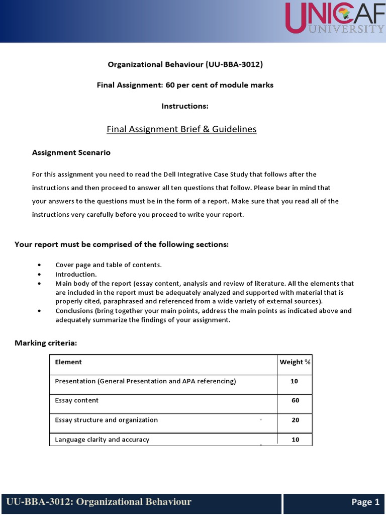 Final Assignment Guidelines for UU-BBA-3012 | PDF | Dell | Employment