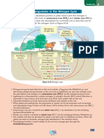 The Role of Microorganisms in The Nitrogen Cycle: Biodiversity