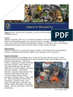 Capture Myopathy: Pennsylvania Game Commission Wildlife Disease Reference Library