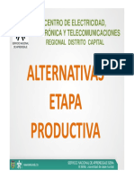 instructivo alternativas etapa productiva