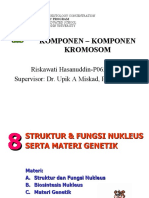 Komponen2 Kromosom