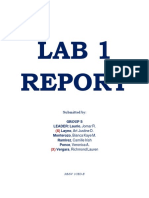 Workshop Statistics Lab 1 Report