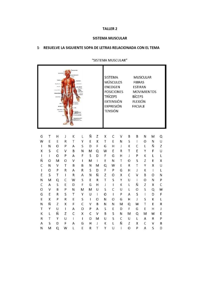 Sopa de Letras Musculos | PDF